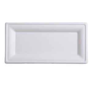 TP 10 X 5  SUGARCANE RECTANGULAR PLATE 500PCS/CTN