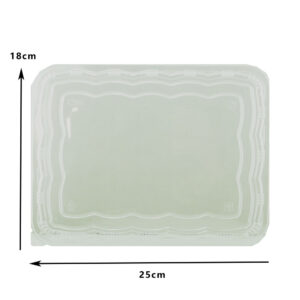 YS LID FOR YS-5C028 (50PCS X 10SLV)