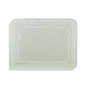 YS LID FOR YS-5C028 (50PCS X 10SLV)