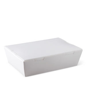 DET LUNCH BOX MEDIUM WHITE (50PCS X 4SLV)