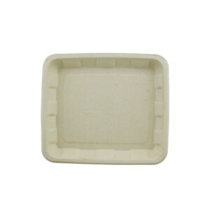 IKON ECOCANE TRAY 13 X 10 (300PCS/CTN)