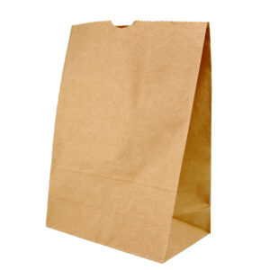 DH SOS #20 BROWN BAG  430 x 305 + 175 (250PCS/CTN)