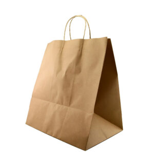 QP LARGE SIZE PAPER BAG WTH TWISTED HANDLE 320 x 350 + 225 (250PCS/CTN)