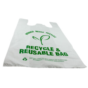 GV LARGE RECYCLE/REUSABLE CARRY BAG (10 PACK /CTN)